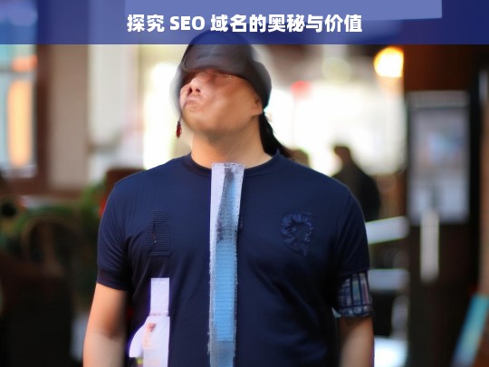 探究 SEO 域名的奥秘与价值，SEO 域名，奥秘与价值探究