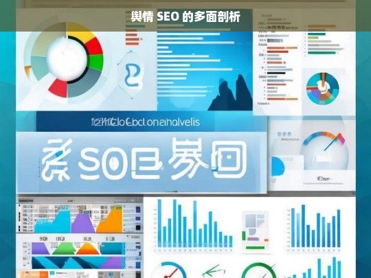 舆情 SEO 的多面剖析，舆情 SEO 的多面剖析，洞察与解析