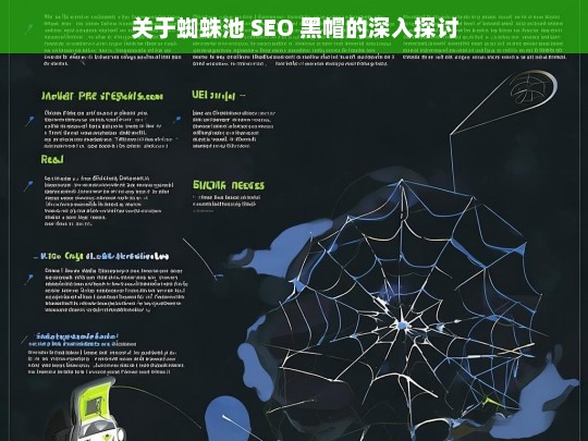 关于蜘蛛池 SEO 黑帽的深入探讨，蜘蛛池 SEO 黑帽的深入剖析