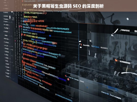 关于黑帽寄生虫源码 SEO 的深度剖析，黑帽寄生虫源码 SEO 深度剖析