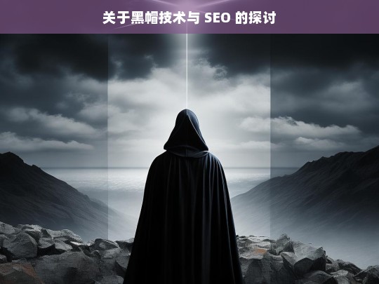 关于黑帽技术与 SEO 的探讨，黑帽技术与 SEO 的探讨