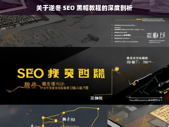 关于逆冬 SEO 黑帽教程的深度剖析，逆冬 SEO 黑帽教程深度剖析