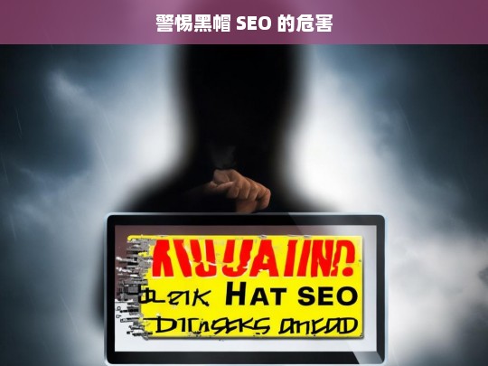 警惕黑帽 SEO 的危害，警惕黑帽 SEO，危害不容小觑