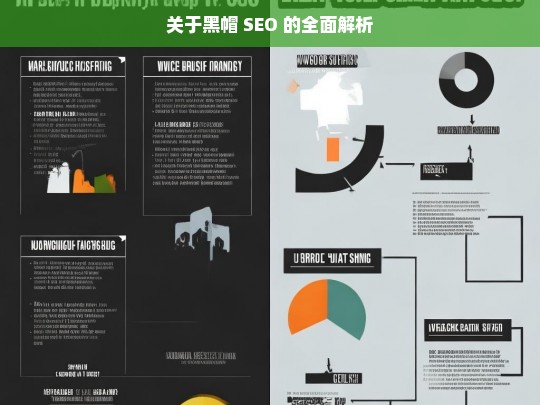 关于黑帽 SEO 的全面解析，黑帽 SEO 全面解析