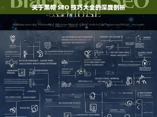 关于黑帽 SEO 技巧大全的深度剖析，黑帽 SEO 技巧大全深度剖析