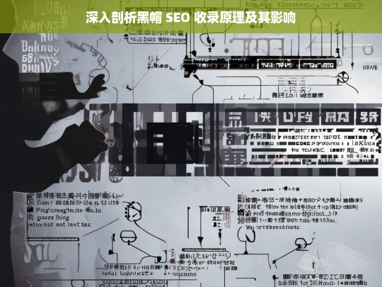 深入剖析黑帽 SEO 收录原理及其影响，黑帽 SEO 收录原理与影响剖析