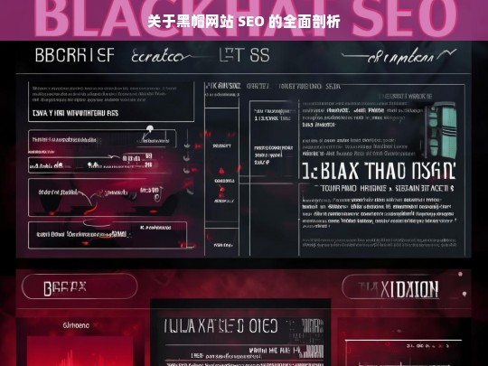 关于黑帽网站 SEO 的全面剖析，黑帽网站 SEO 全面剖析