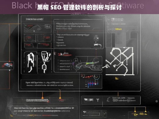 黑帽 SEO 管理软件的剖析与探讨，黑帽 SEO 管理软件剖析探讨