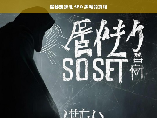 揭秘蜘蛛池 SEO 黑帽的真相，蜘蛛池 SEO 黑帽真相大揭秘