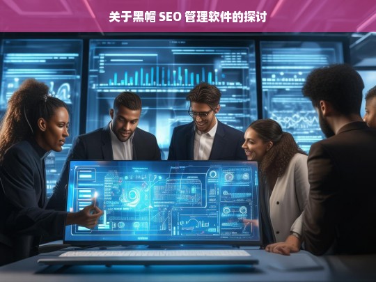 关于黑帽 SEO 管理软件的探讨，黑帽 SEO 管理软件探讨