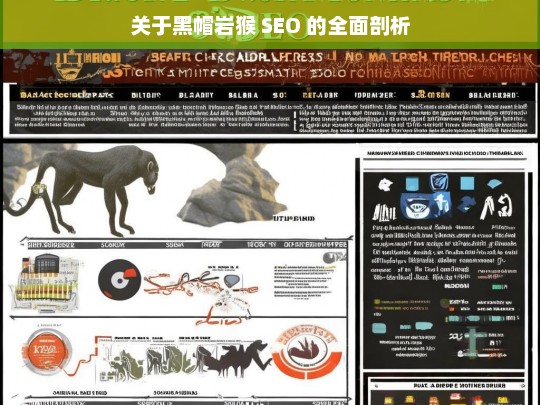 关于黑帽岩猴 SEO 的全面剖析，黑帽岩猴 SEO 全面剖析