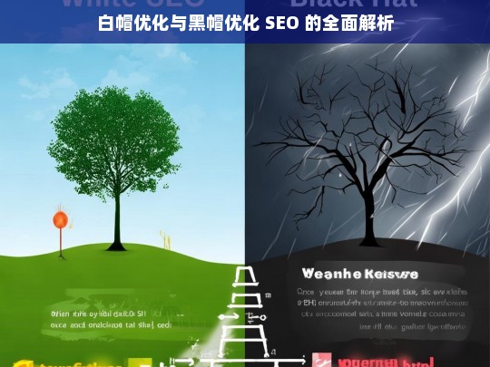 白帽优化与黑帽优化 SEO 的全面解析，白帽与黑帽优化 SEO 的全面解读