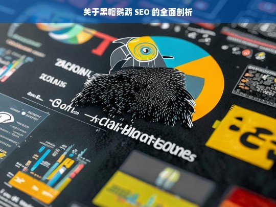 关于黑帽鹦鹉 SEO 的全面剖析，黑帽鹦鹉 SEO 全面剖析