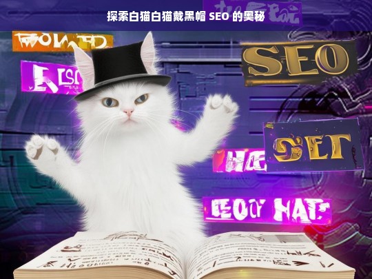 探索白猫白猫戴黑帽 SEO 的奥秘，探索白猫白猫戴黑帽 SEO 奥秘