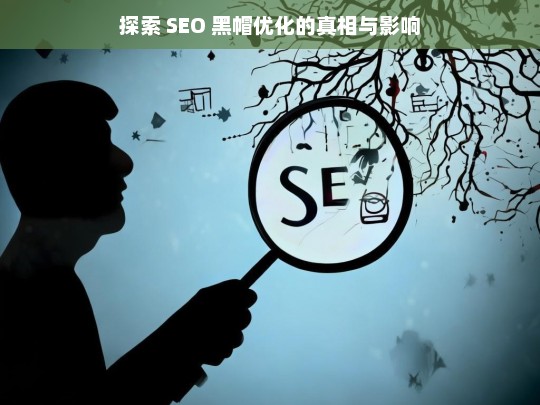 探索 SEO 黑帽优化的真相与影响，SEO 黑帽优化，真相与影响大揭秘