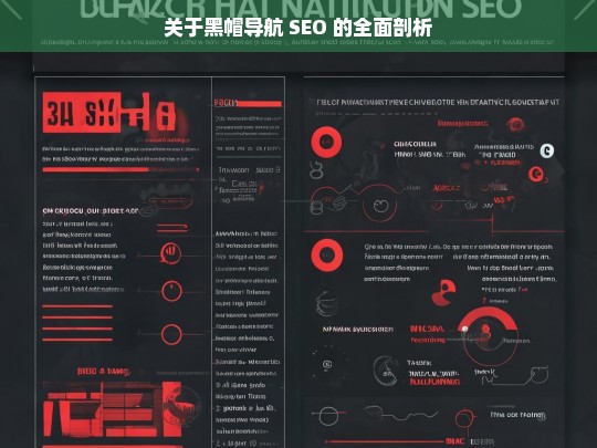 关于黑帽导航 SEO 的全面剖析，黑帽导航 SEO 全面剖析