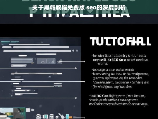 关于黑帽教程免费版 seo的深度剖析，黑帽教程免费版 SEO 的深度解析