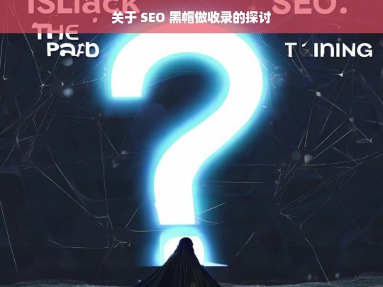 关于 SEO 黑帽做收录的探讨，SEO 黑帽做收录之探讨