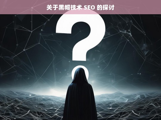 关于黑帽技术 SEO 的探讨，黑帽技术 SEO 探讨