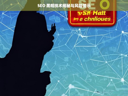 SEO 黑帽技术揭秘与风险警示，SEO 黑帽技术，揭秘与风险