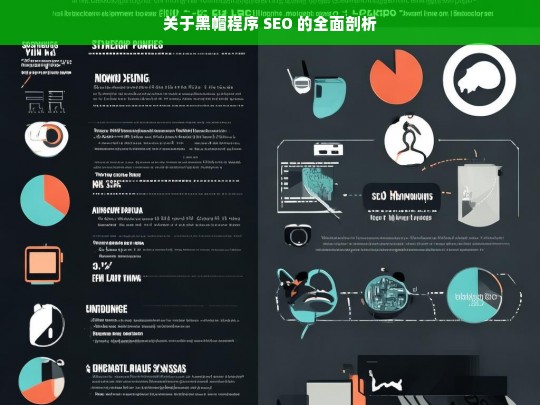 关于黑帽程序 SEO 的全面剖析，黑帽程序 SEO 全面剖析