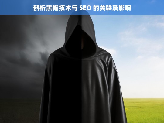 剖析黑帽技术与 SEO 的关联及影响，黑帽技术对 SEO 的关联与影响剖析