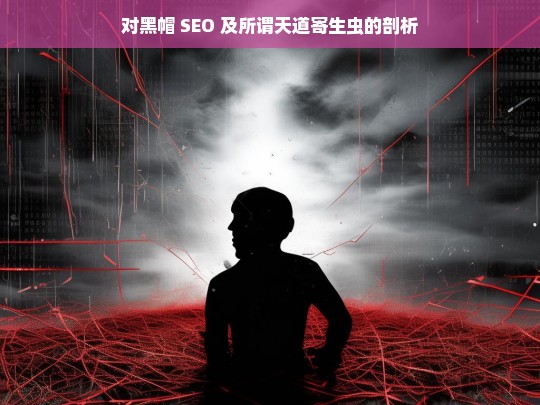 对黑帽 SEO 及所谓天道寄生虫的剖析，黑帽 SEO 与天道寄生虫剖析