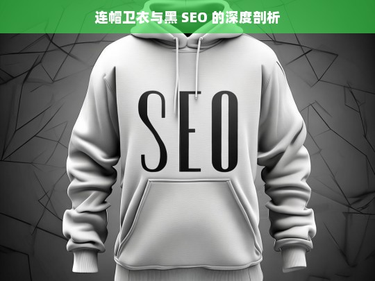 连帽卫衣与黑 SEO 的深度剖析，连帽卫衣与黑 SEO 剖析