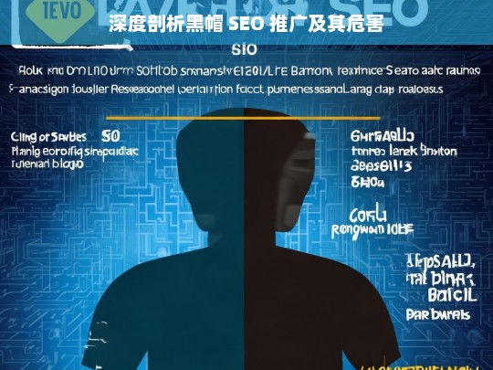 深度剖析黑帽 SEO 推广及其危害，深度剖析黑帽 SEO 推广的危害