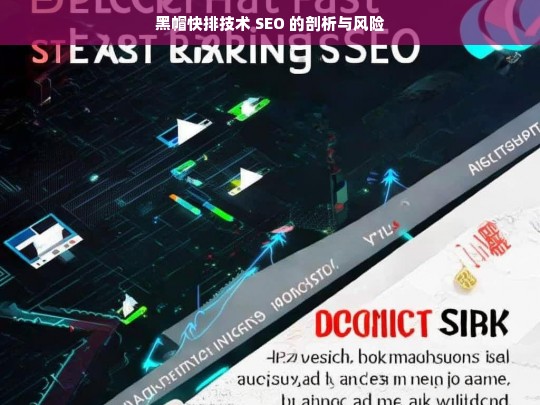 黑帽快排技术 SEO 的剖析与风险，黑帽快排技术 SEO，剖析与风险探究