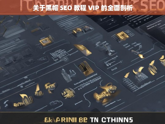 关于黑帽 SEO 教程 VIP 的全面剖析，黑帽 SEO 教程 VIP 全面剖析