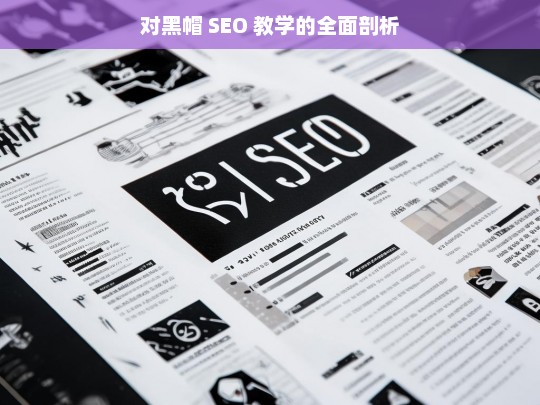 对黑帽 SEO 教学的全面剖析，黑帽 SEO 教学的深度剖析