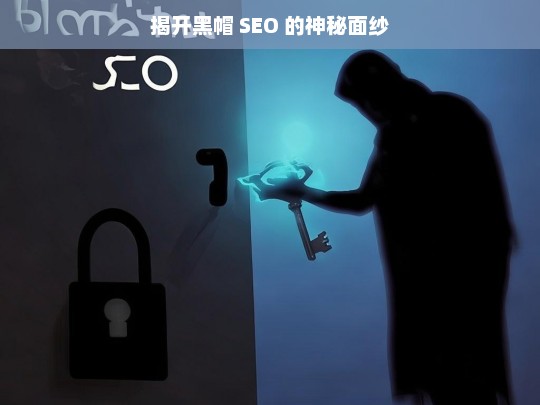 揭开黑帽 SEO 的神秘面纱，黑帽 SEO 大揭秘