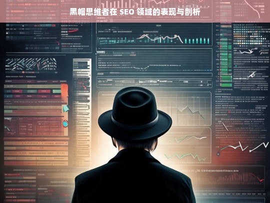 黑帽思维者在 SEO 领域的表现与剖析，黑帽思维者在 SEO 领域的表现剖析