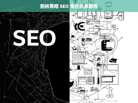 剖析黑帽 SEO 专栏的多面性，黑帽 SEO 专栏多面性剖析