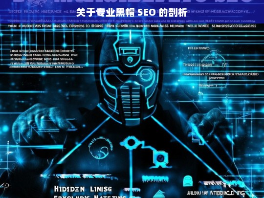 关于专业黑帽 SEO 的剖析，专业黑帽 SEO 剖析