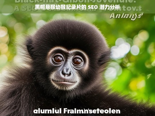 黑帽悬猴幼猴纪录片的 SEO 潜力分析，黑帽悬猴幼猴纪录片的 SEO 潜力剖析