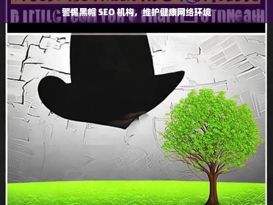 警惕黑帽 SEO 机构，维护健康网络环境，警惕黑帽 SEO 机构以保网络环境健康