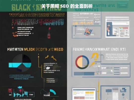 关于黑帽 SEO 的全面剖析，黑帽 SEO 全面剖析