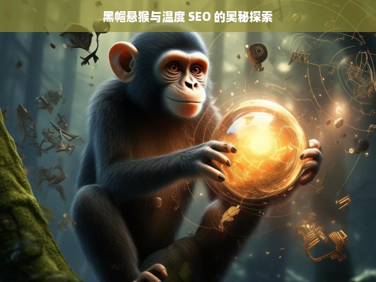 黑帽悬猴与温度 SEO 的奥秘探索，黑帽悬猴与温度 SEO 的奥秘探寻