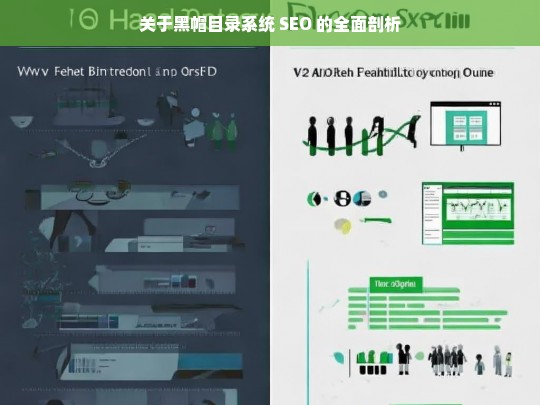 关于黑帽目录系统 SEO 的全面剖析，黑帽目录系统 SEO 全面剖析