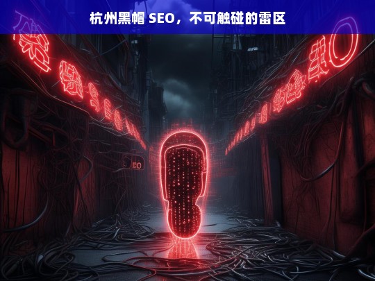 杭州黑帽 SEO，不可触碰的雷区，杭州黑帽 SEO，雷区勿触