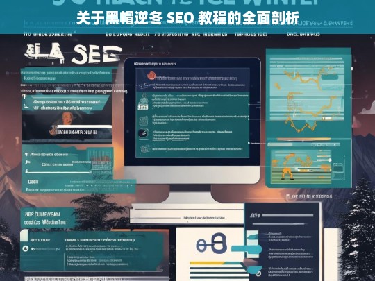 关于黑帽逆冬 SEO 教程的全面剖析，黑帽逆冬 SEO 教程全面剖析