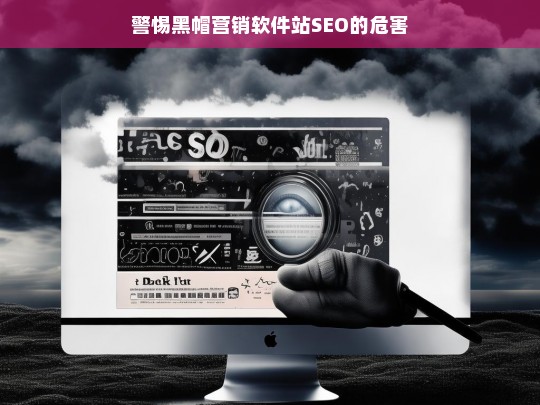 警惕黑帽营销软件站SEO的危害，警惕黑帽营销软件站 SEO 危害