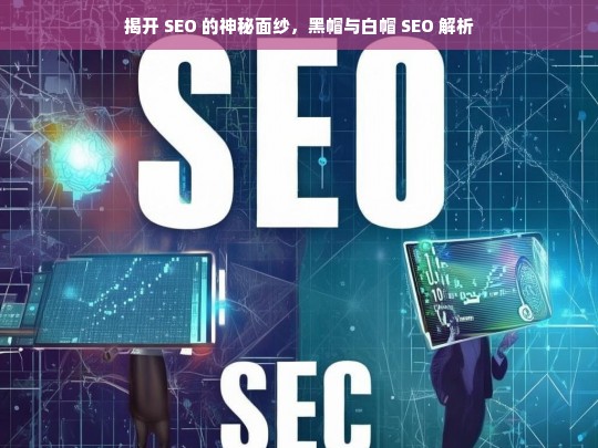 揭开 SEO 的神秘面纱，黑帽与白帽 SEO 解析，SEO 揭秘，黑帽与白帽 SEO 解析