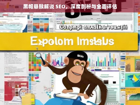 黑帽悬猴解说 SEO，深度剖析与全面评估，黑帽悬猴与 SEO 的深度剖析及全面评估