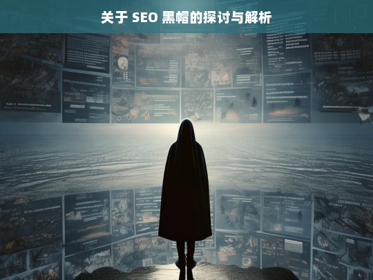 关于 SEO 黑帽的探讨与解析，SEO 黑帽，探讨与解析