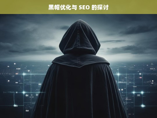 黑帽优化与 SEO 的探讨，黑帽优化与 SEO，差异与探讨