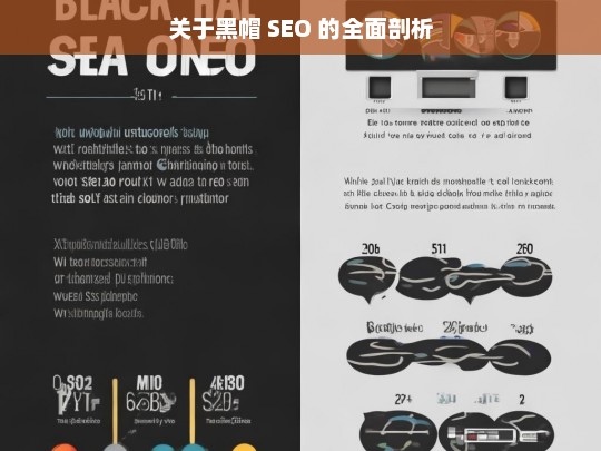 关于黑帽 SEO 的全面剖析，黑帽 SEO 全面剖析