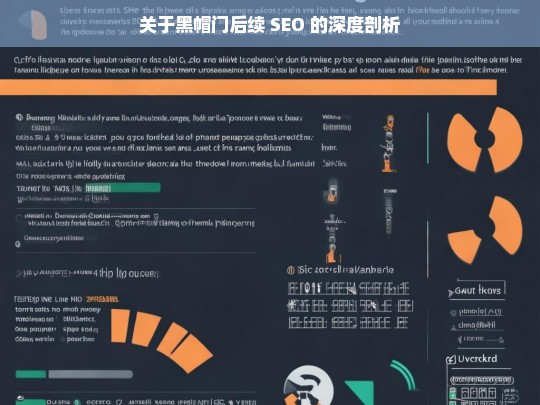 关于黑帽门后续 SEO 的深度剖析，黑帽门后续 SEO 深度剖析